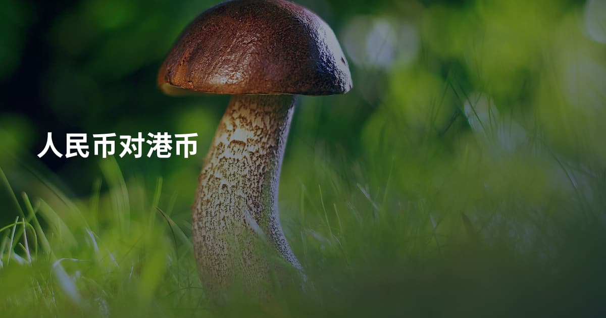 人民币对港币