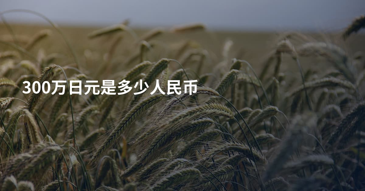 300万日元是多少人民币
