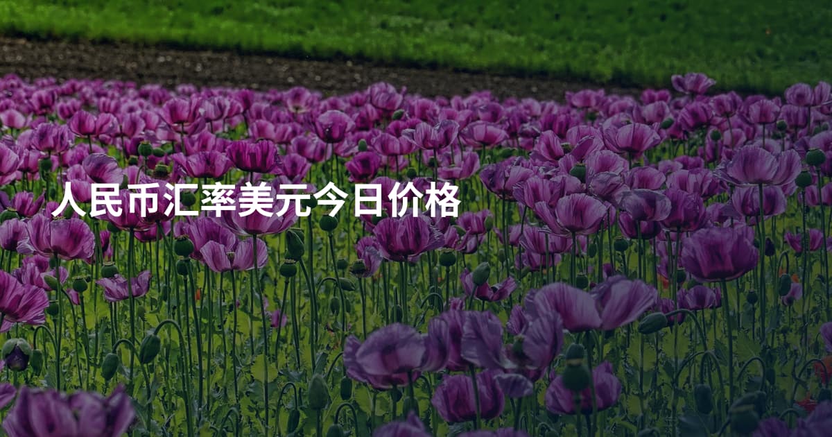 人民币汇率美元今日价格