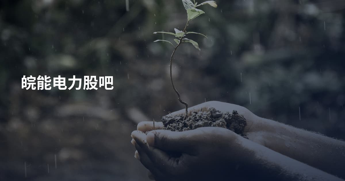 皖能电力股吧