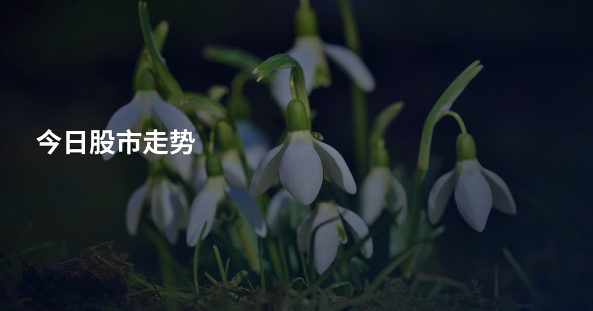今日股市走势