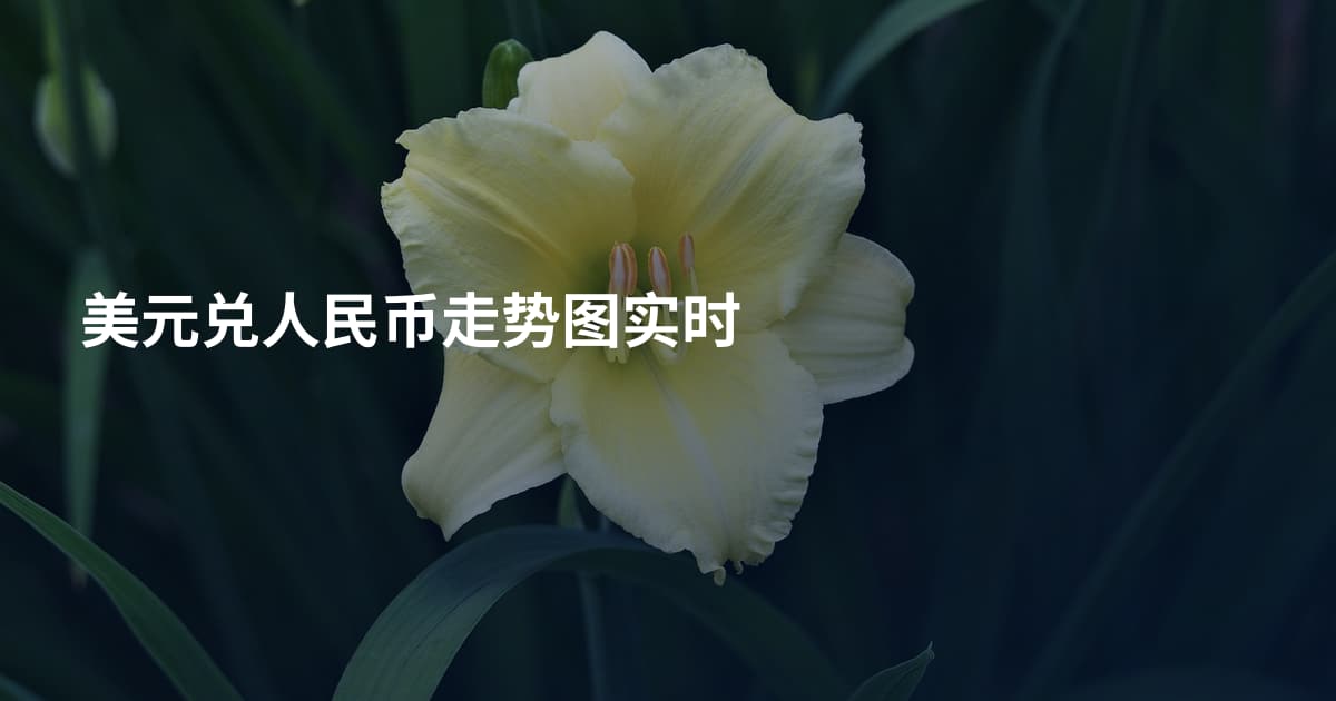 美元兑人民币走势图实时