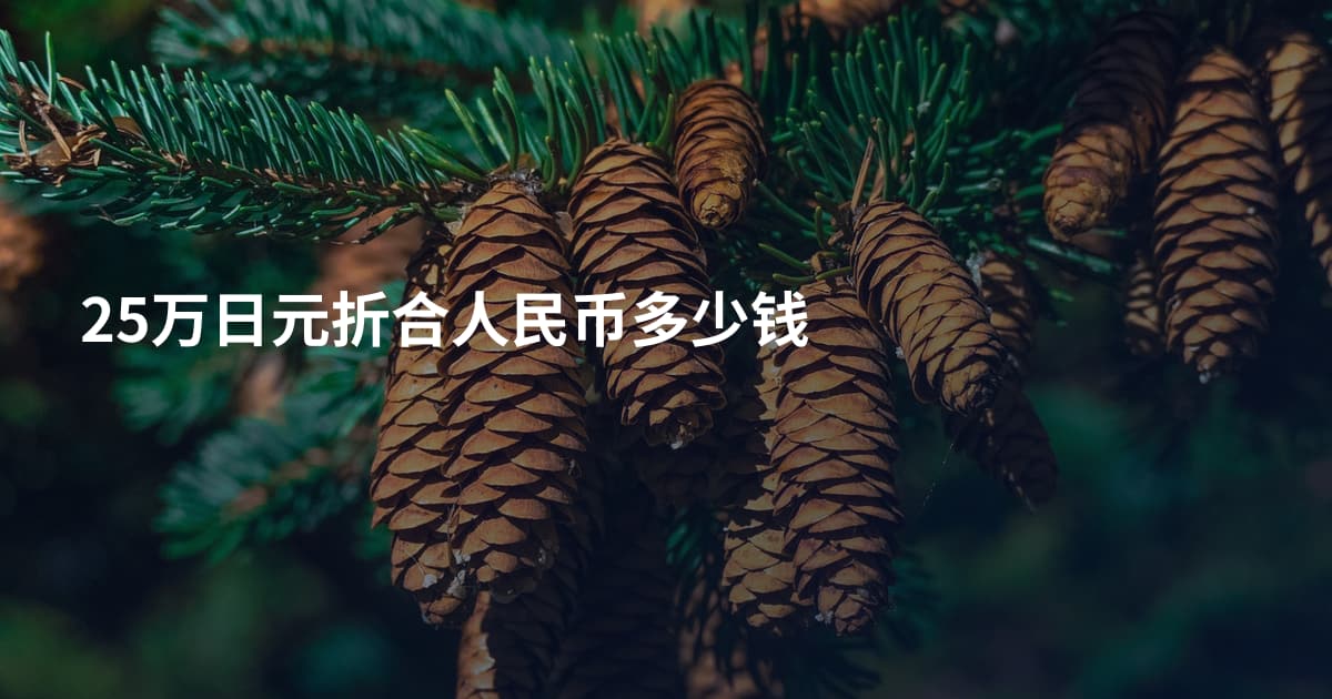25万日元折合人民币多少钱