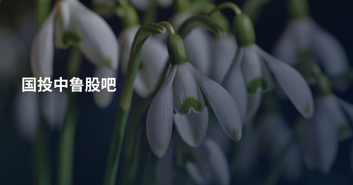 国投中鲁股吧