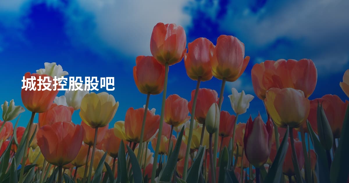 城投控股股吧