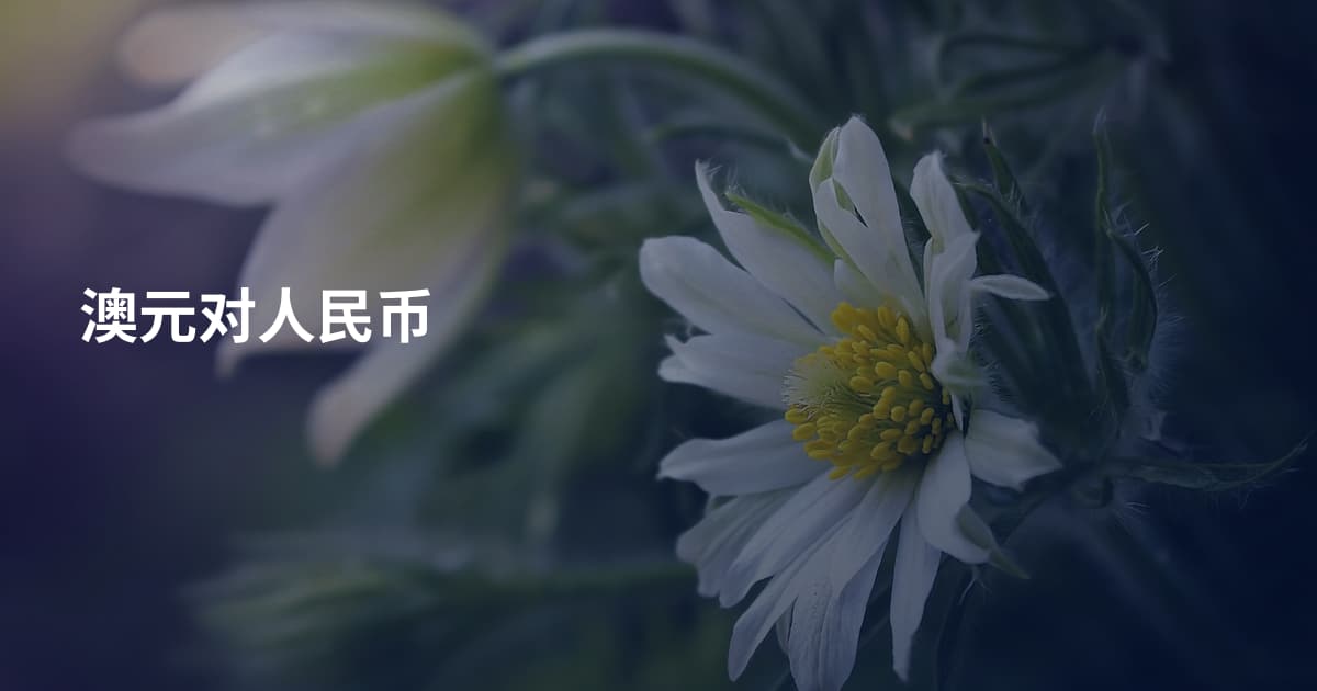 澳元对人民币