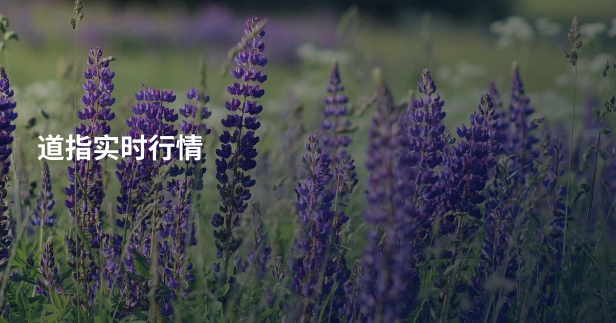 道指实时行情