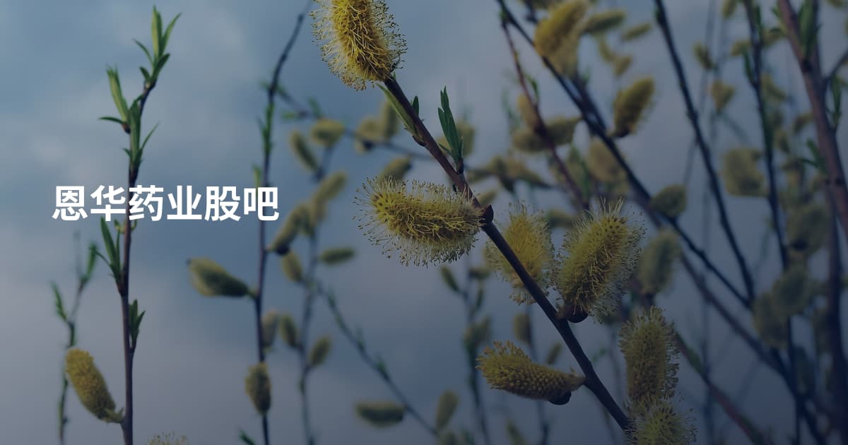 恩华药业股吧