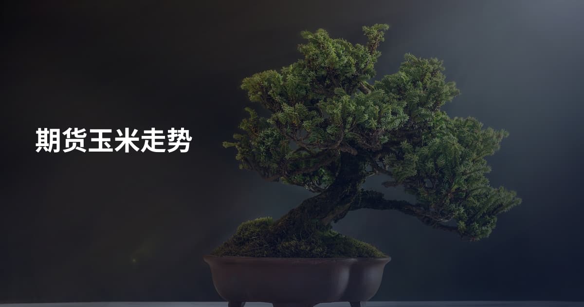 期货玉米走势