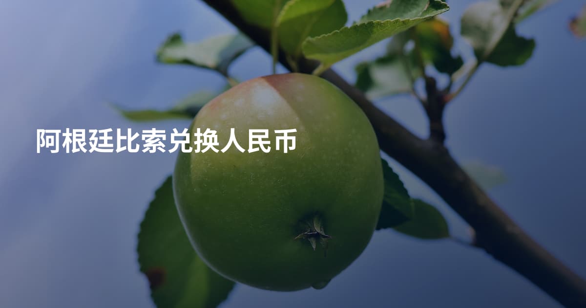阿根廷比索兑换人民币
