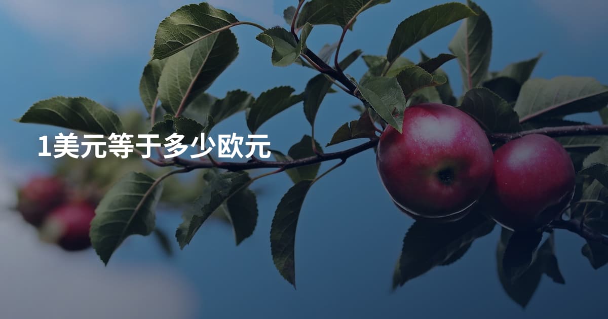 1美元等于多少欧元