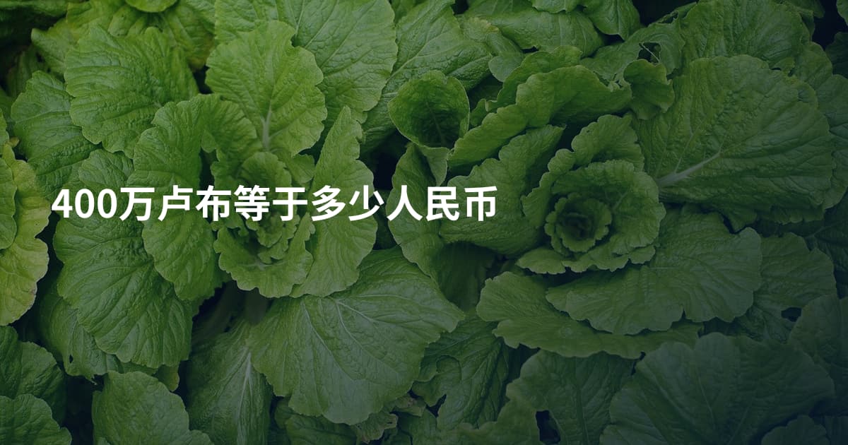 400万卢布等于多少人民币