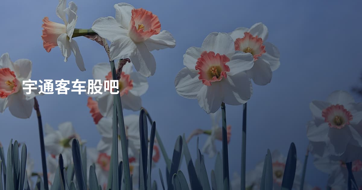 宇通客车股吧