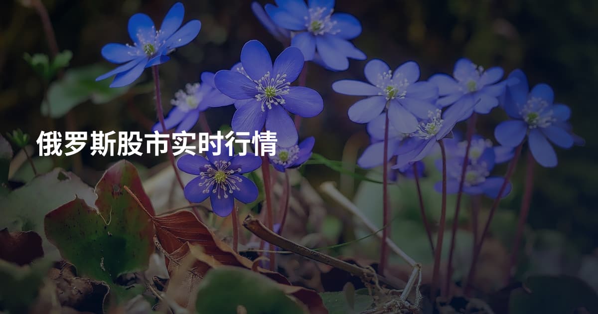 俄罗斯股市实时行情