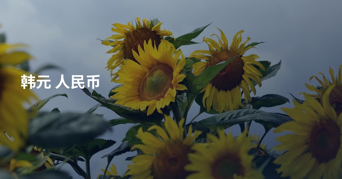 韩元 人民币