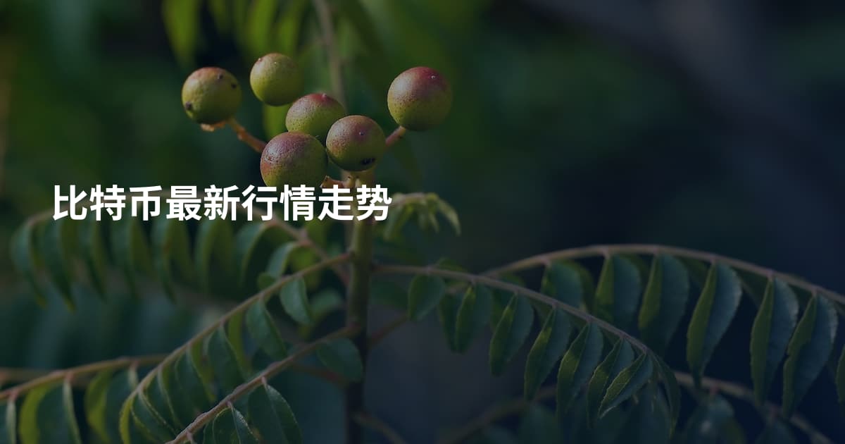 比特币最新行情走势
