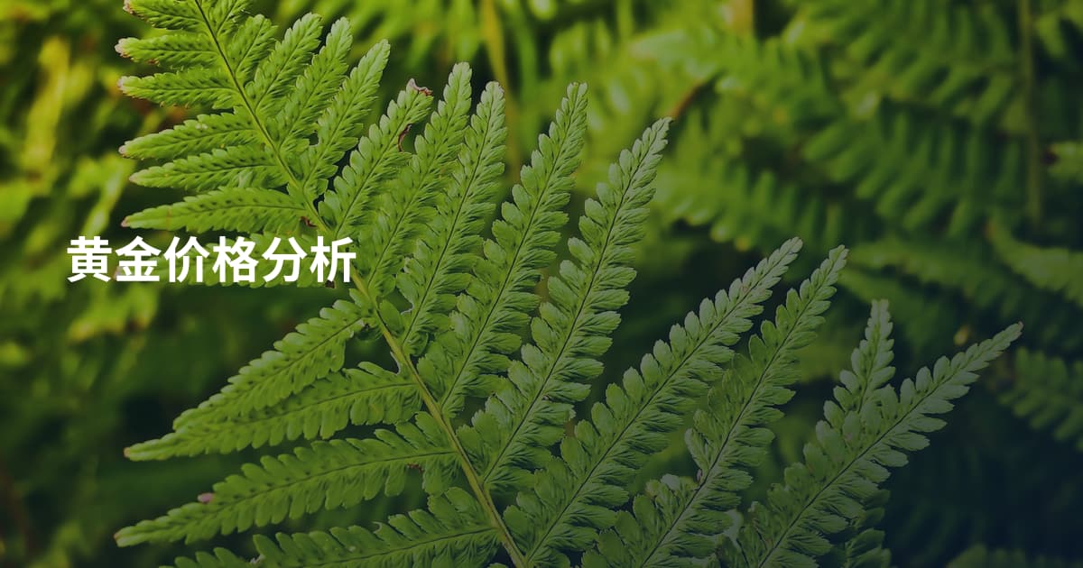 黄金价格分析