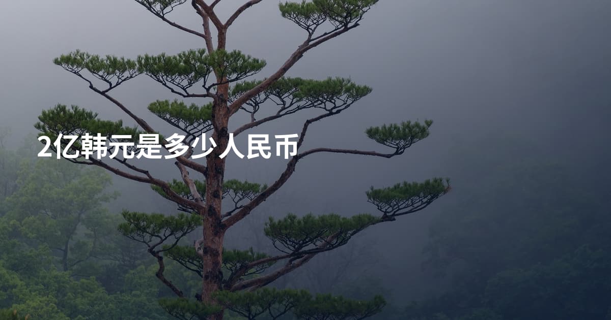 2亿韩元是多少人民币