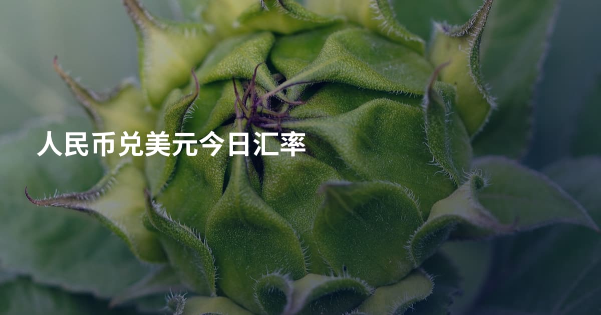 人民币兑美元今日汇率