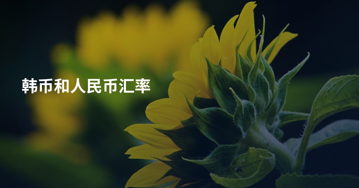 韩币和人民币汇率