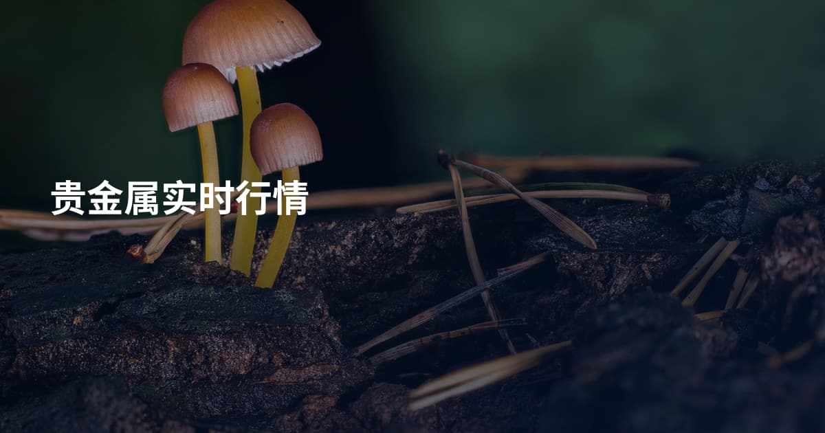 贵金属实时行情