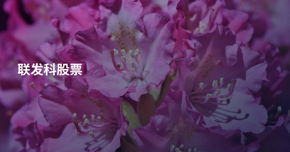联发科股票