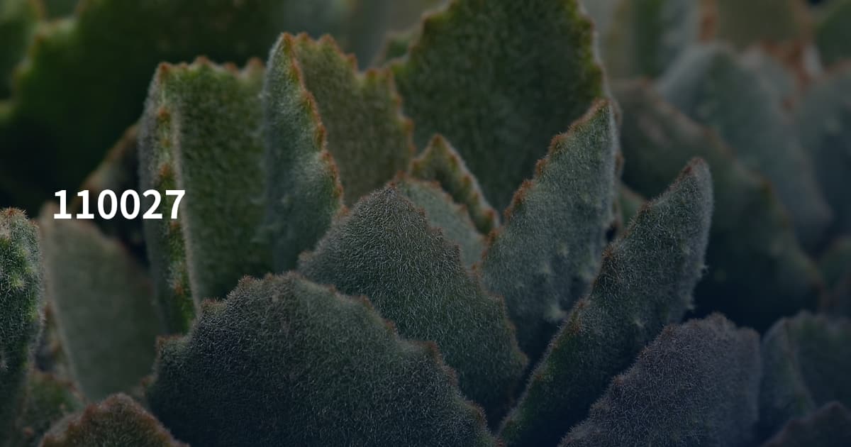 110027