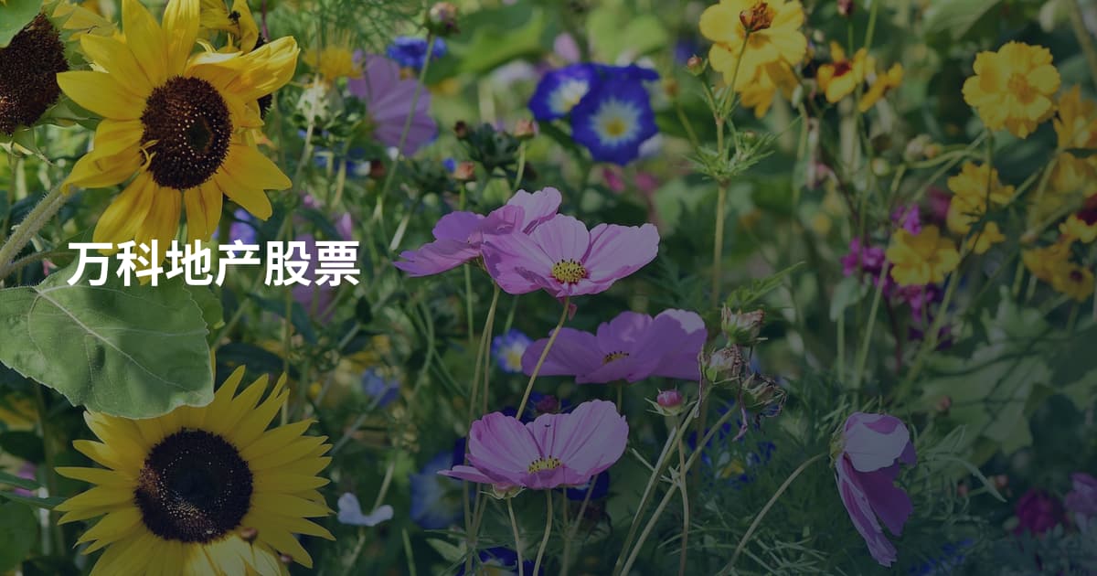 万科地产股票
