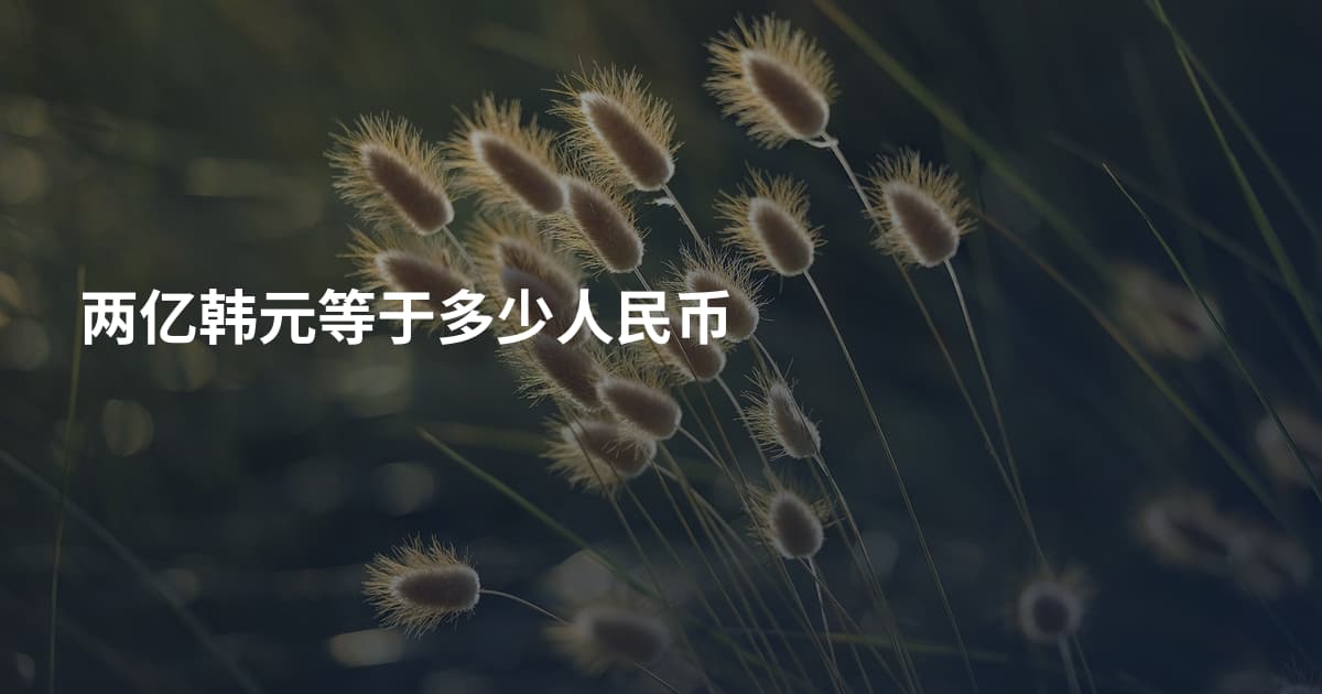 两亿韩元等于多少人民币