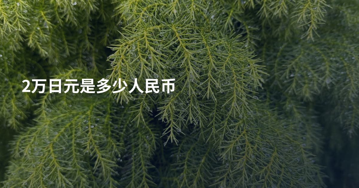 2万日元是多少人民币