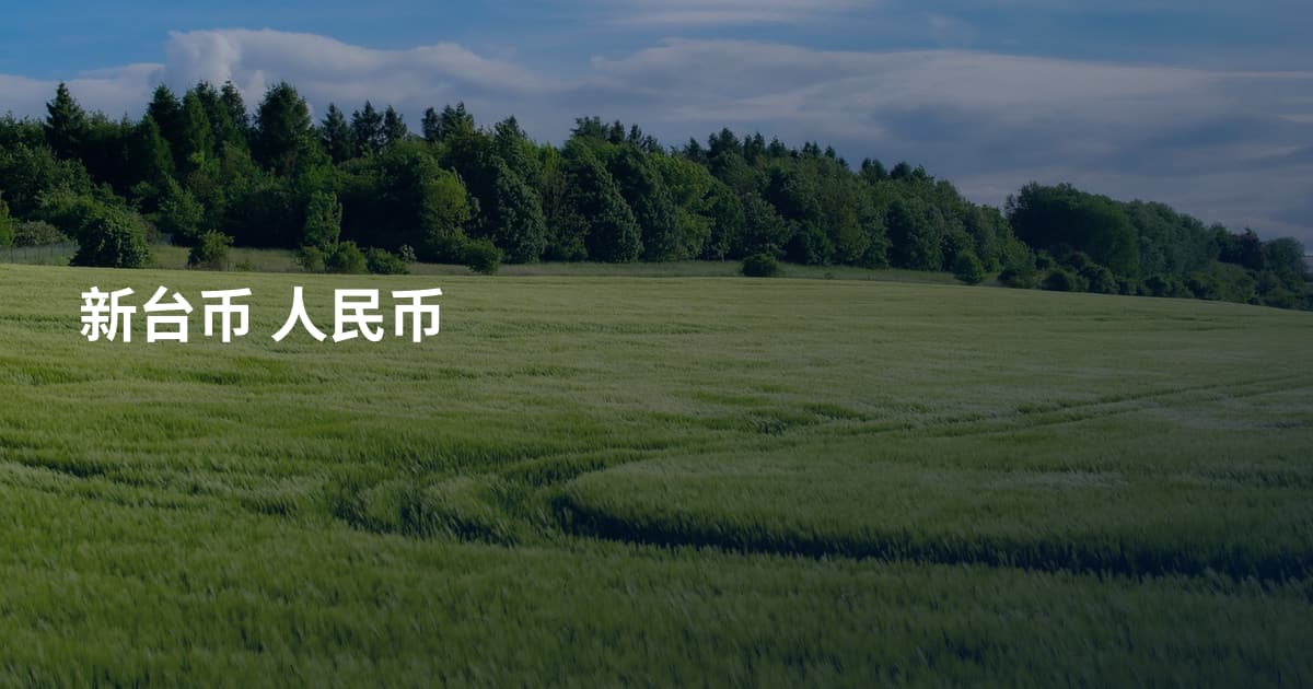 新台币 人民币