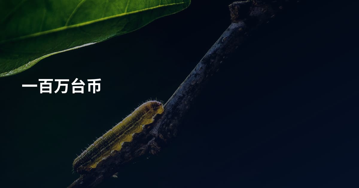 一百万台币
