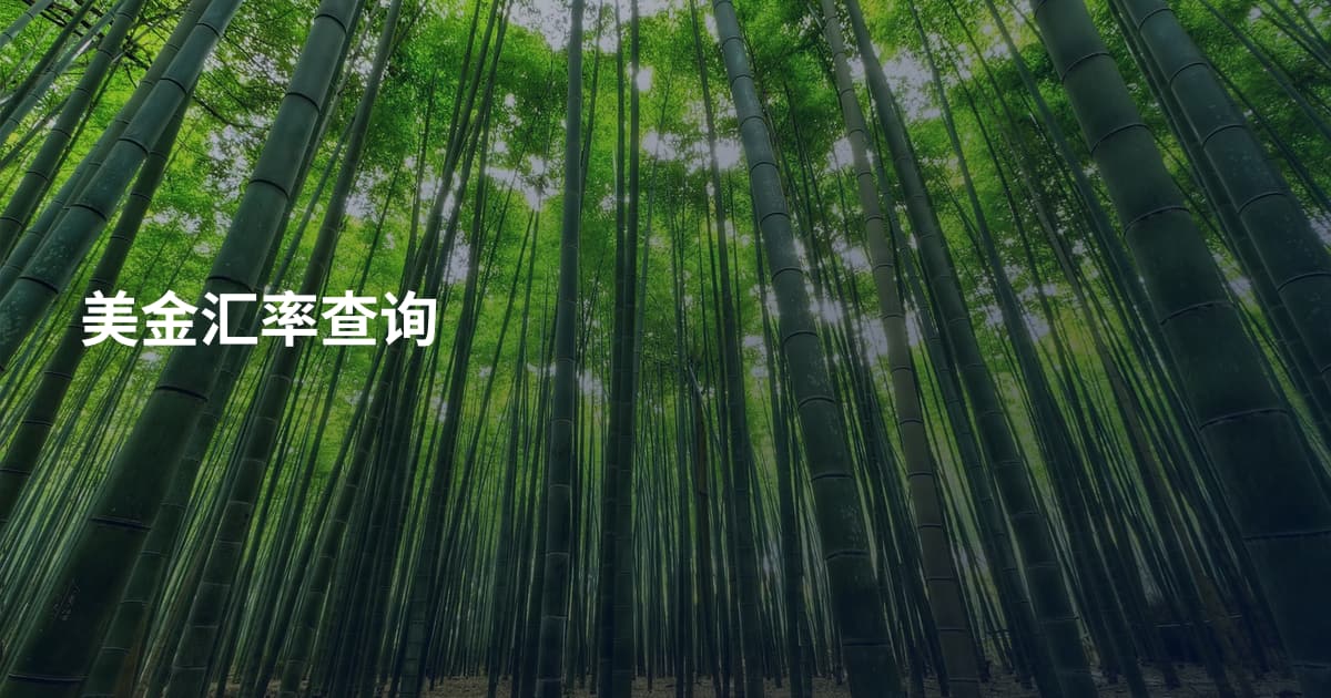 美金汇率查询