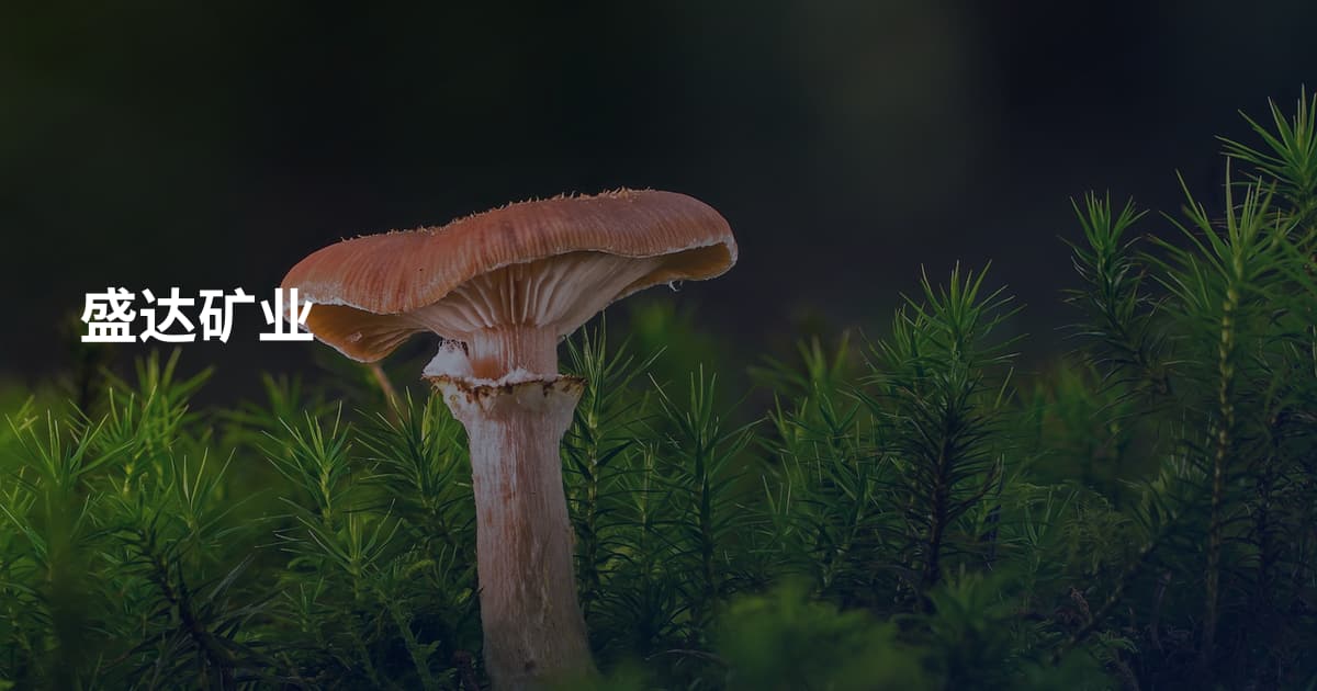 盛达矿业