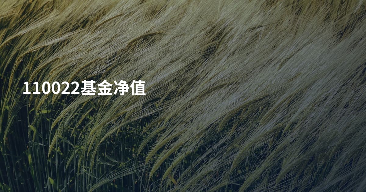 110022基金净值