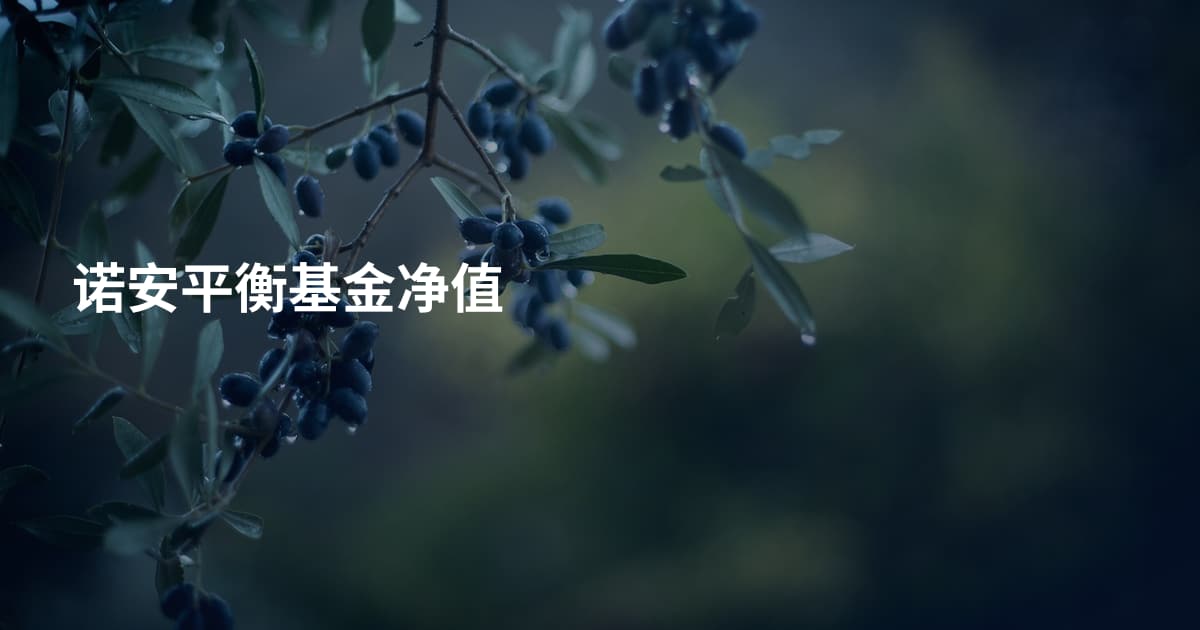 诺安平衡基金净值