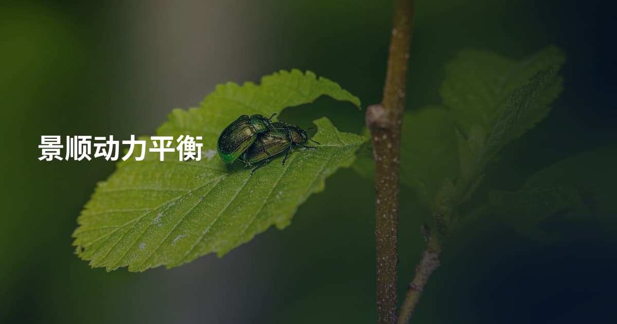 景顺动力平衡