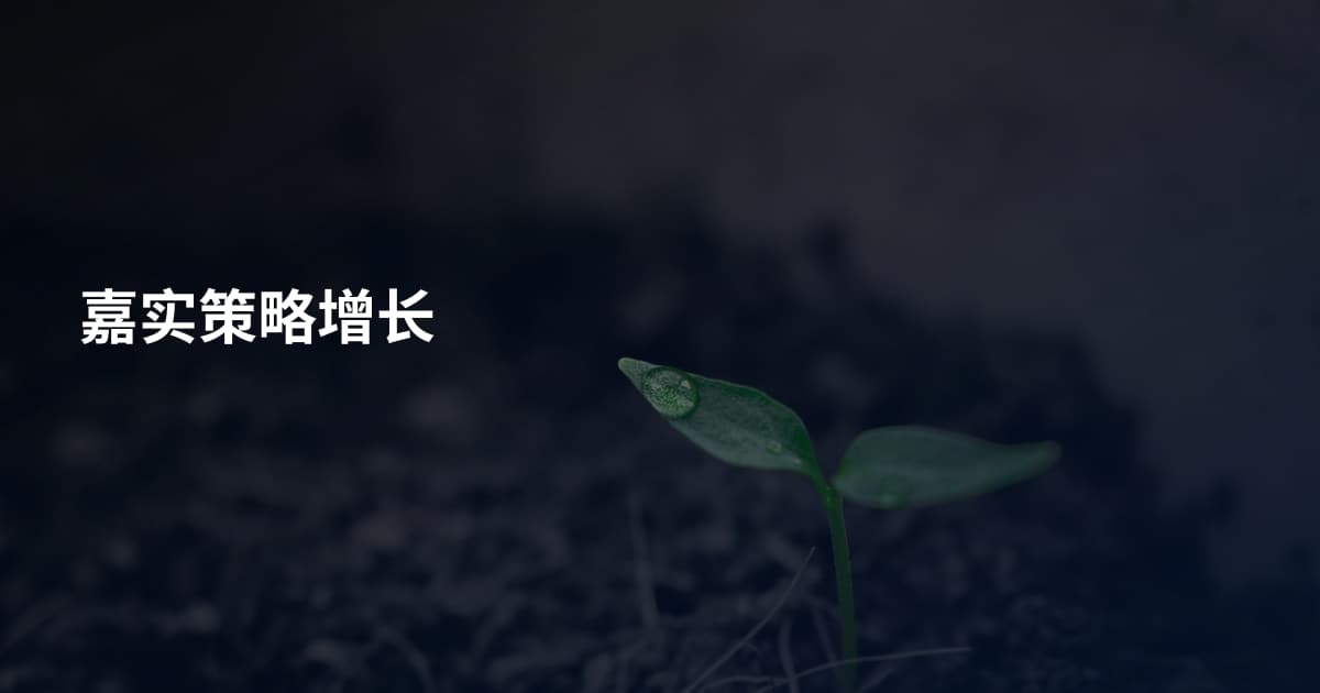 嘉实策略增长
