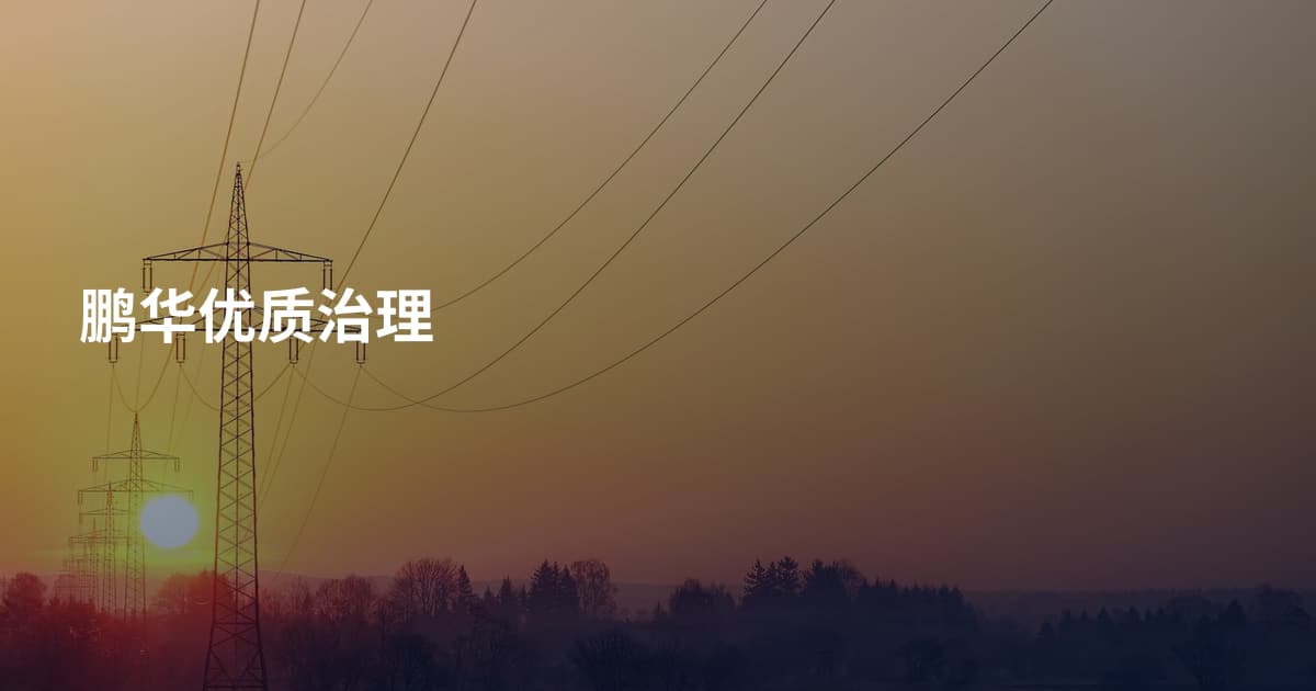 鹏华优质治理