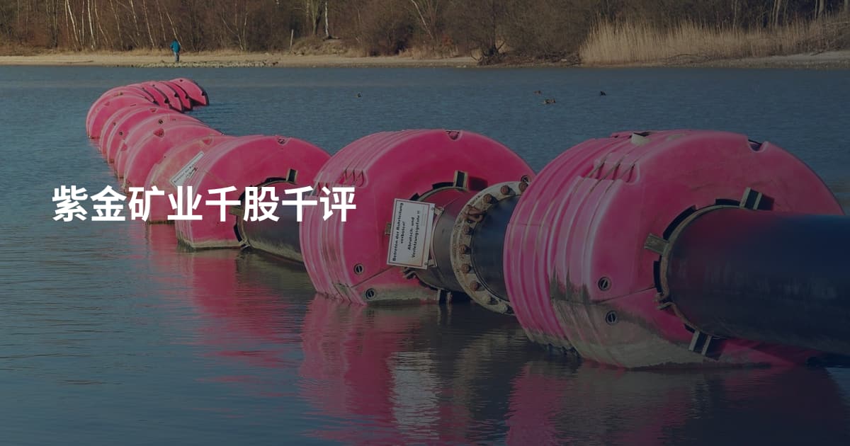 紫金矿业千股千评