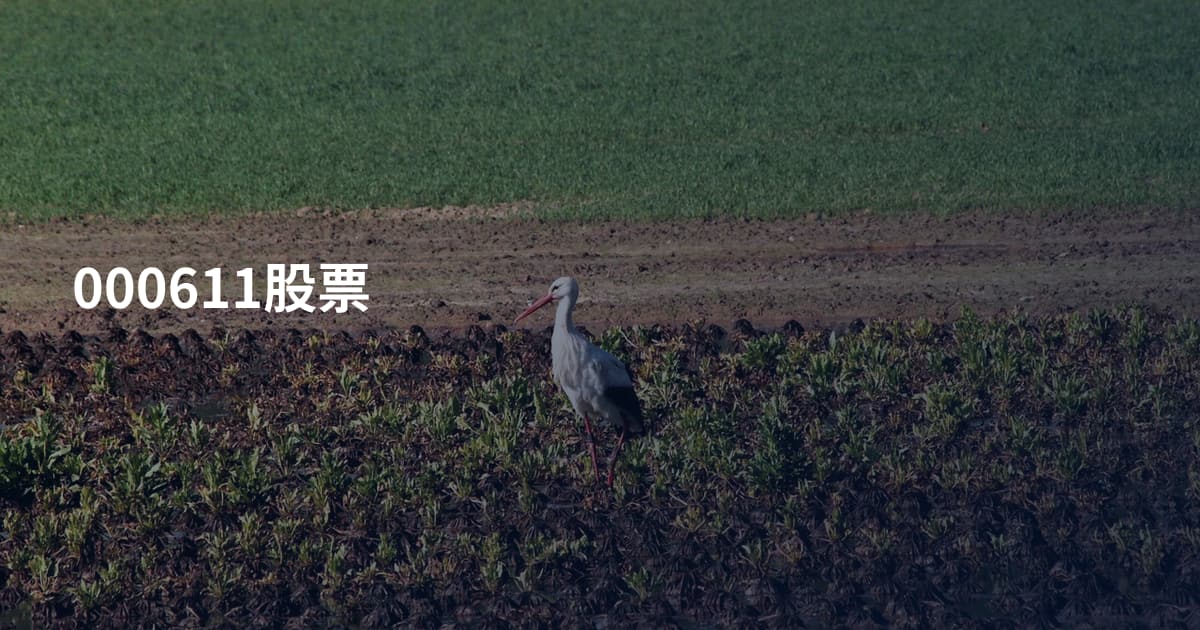 000611股票