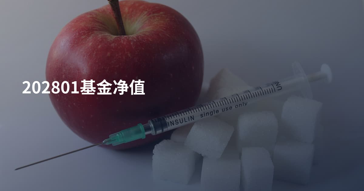 202801基金净值