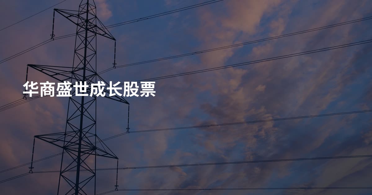 华商盛世成长股票