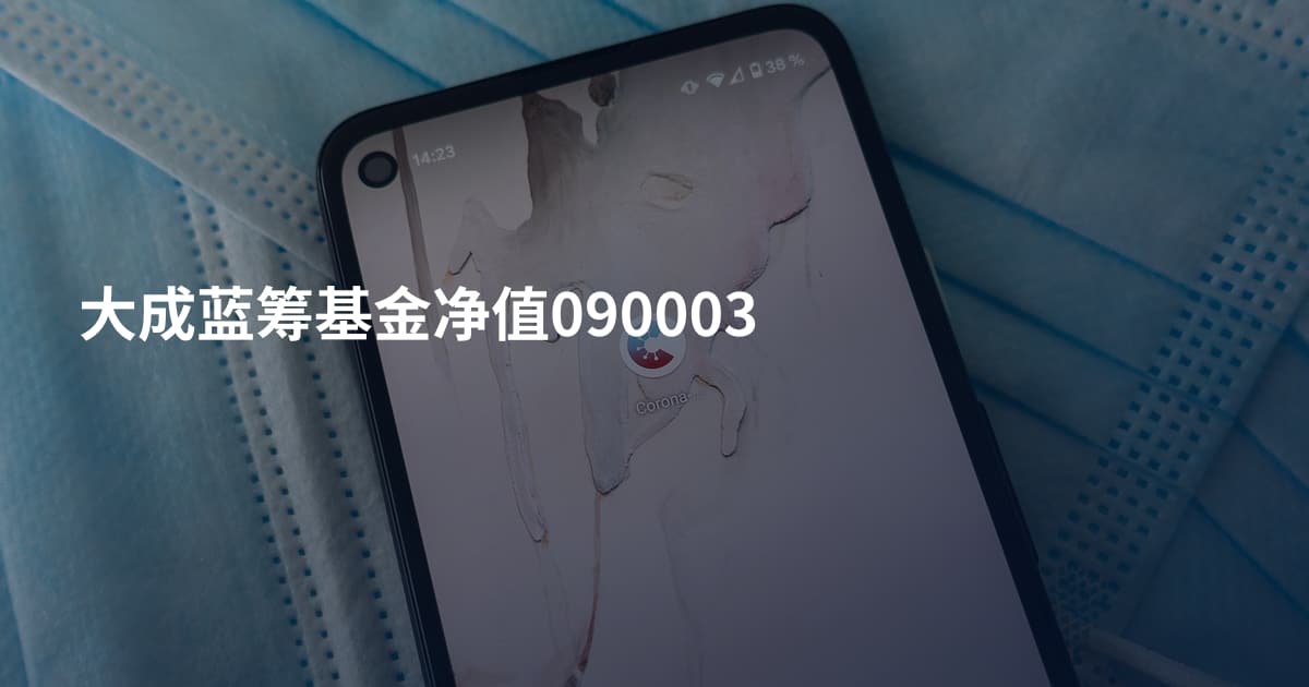 大成蓝筹基金净值090003