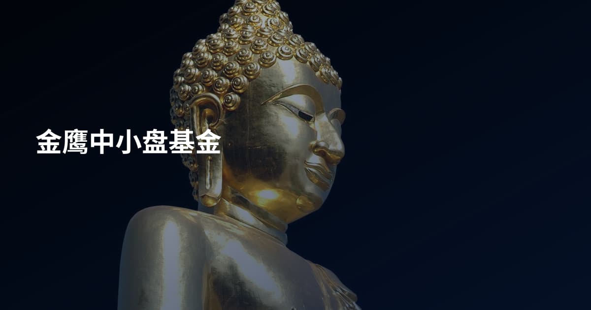 金鹰中小盘基金