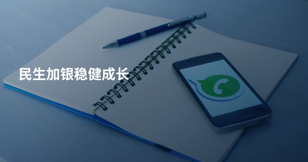 民生加银稳健成长