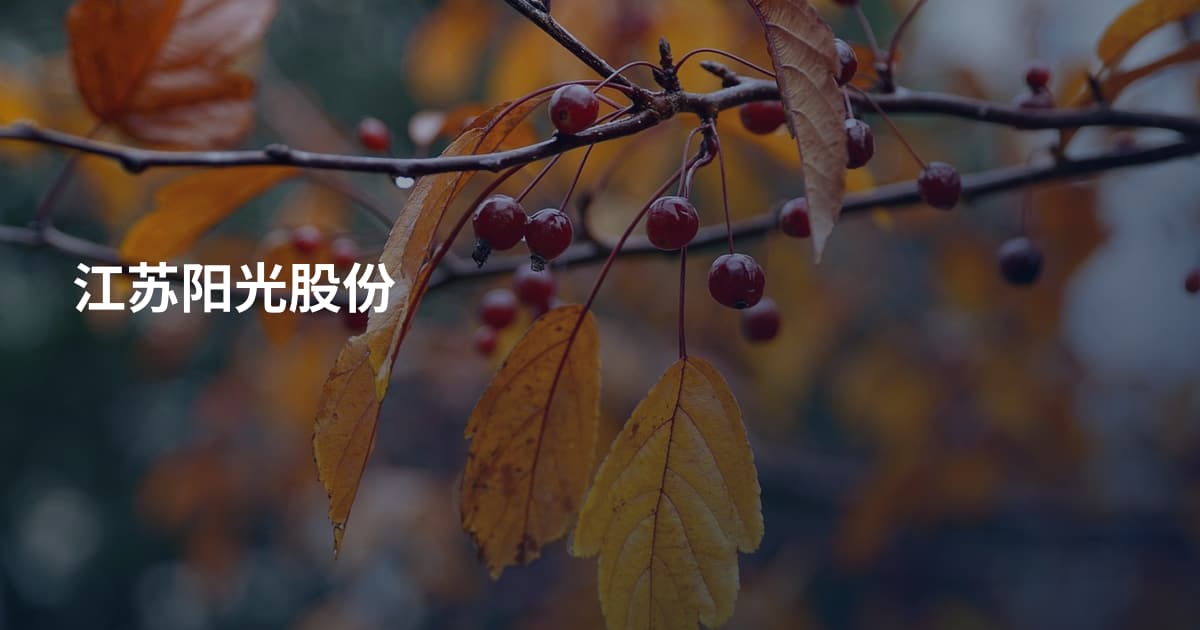 江苏阳光股份