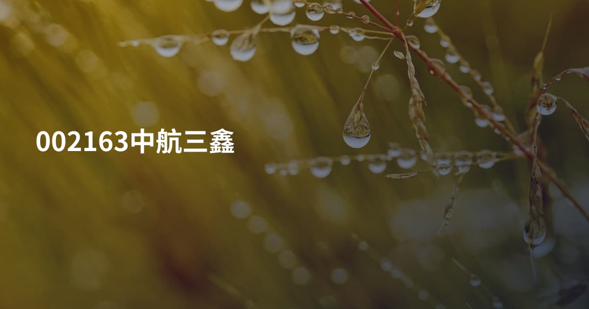 002163中航三鑫