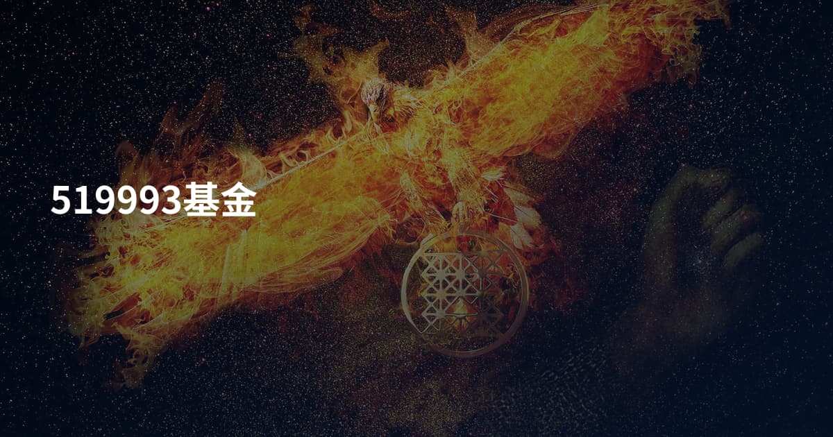 519993基金