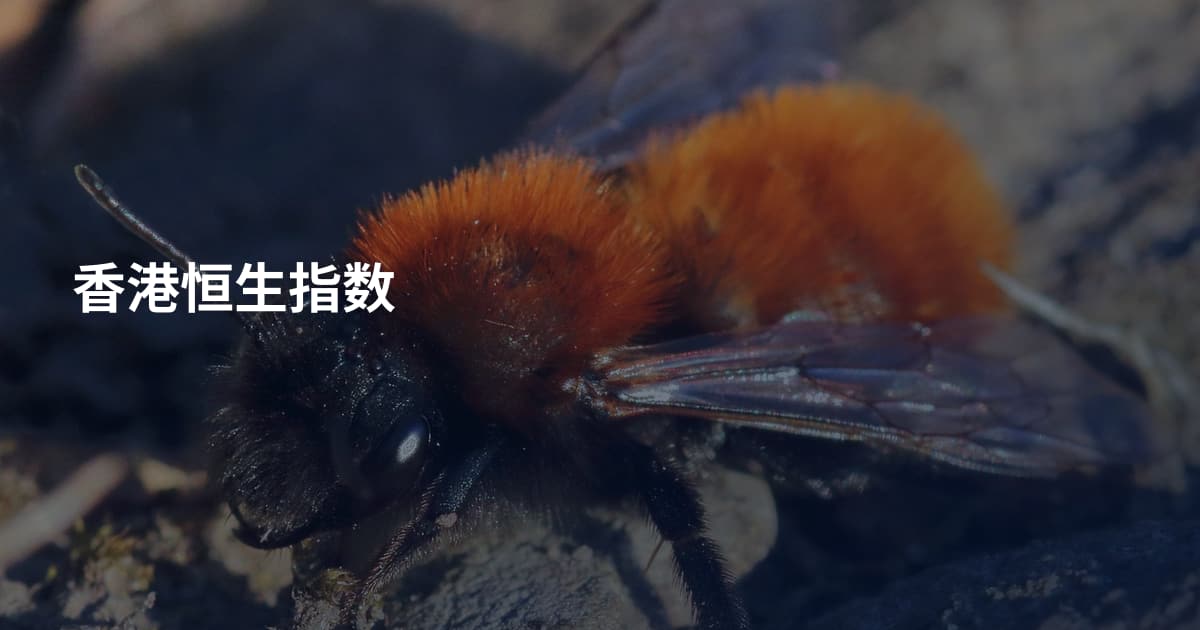 香港恒生指数